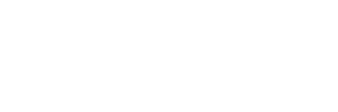 Pleiad logo